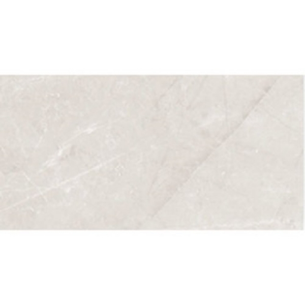Picture of Roca - Jewels 24 x 48 Etienne Light Gray Matte