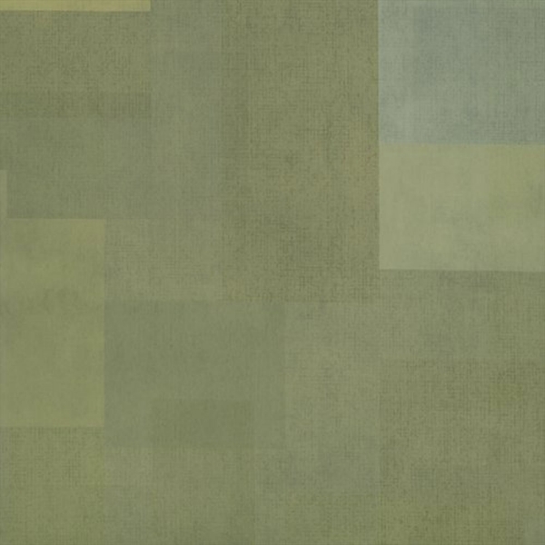 Picture of Shaw Contract - Inspire 5.0mm Lime