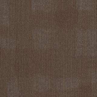 Picture of Philadelphia Commercial by Shaw - Mask Crisscross