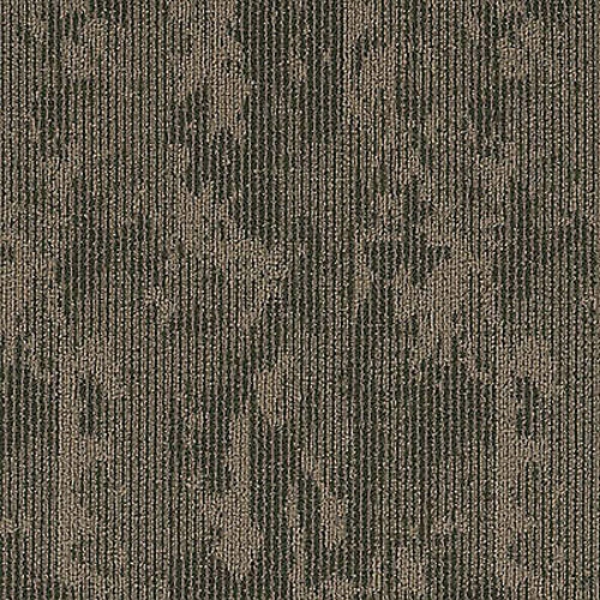 Picture of Aladdin Commercial - Rhythmic Wave Olive Tree