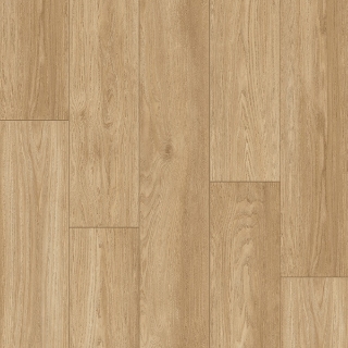 Picture of Palmetto Road - Haven Morning Sunshine