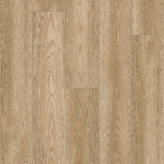 Picture of Palmetto Road - Haven Trailhead