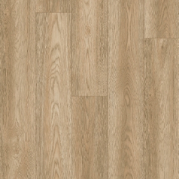 Picture of Palmetto Road - Haven Trailhead