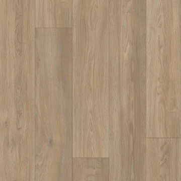 Picture of Palmetto Road - Trailblazer Teton Crest