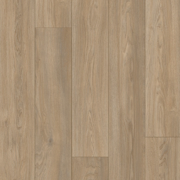 Picture of Palmetto Road - Trailblazer Teton Crest