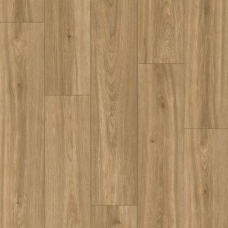 Picture of Palmetto Road - Trailblazer Honey Creek