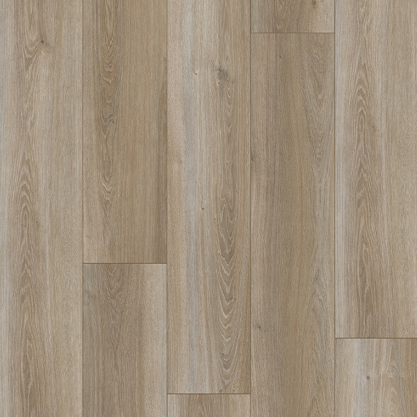 Picture of Palmetto Road - Trailblazer Mystic Falls