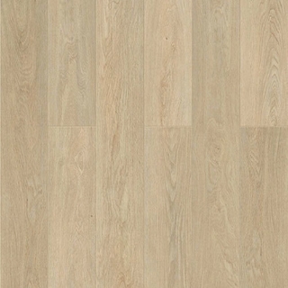 Picture of Chesapeake Flooring - Hemisphere Meridian