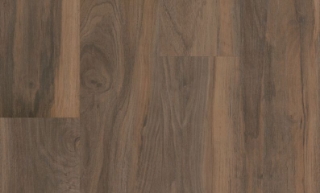 Picture of Philadelphia Commercial by Shaw - Dignity500#3 737