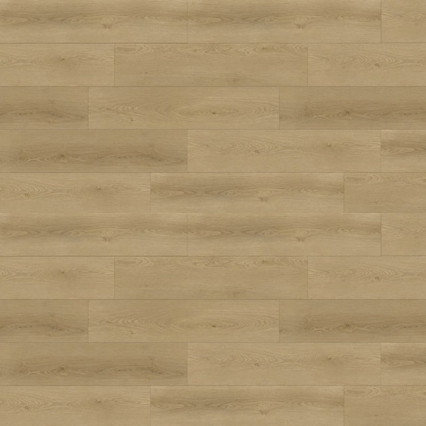 Picture of Republic - Bear Woods Alaska Tan