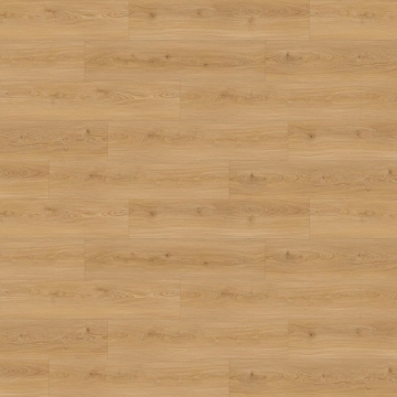 Picture of Republic - Bear Woods Prada Sunrise