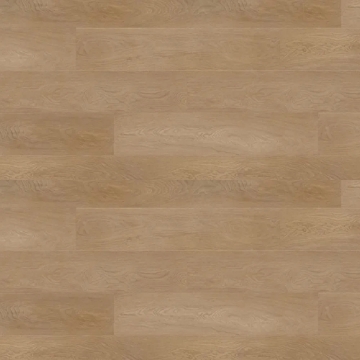 Picture of Republic - Deep Forest Hurricane Tawny