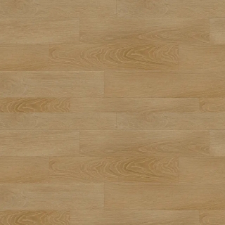 Picture of Republic - South Rose Paradiso Bash