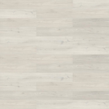 Picture of Shaw Contract - Branching Out 5mm Acoustic Rise Oak