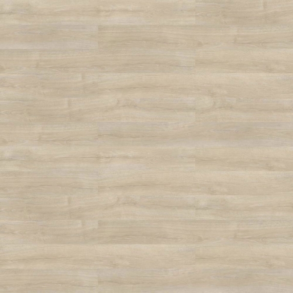 Picture of Shaw Contract - Branching Out 5mm Acoustic Riverside Oak