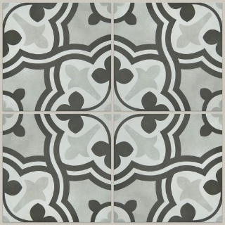 Picture of Shaw Builder - Renee Aurora Opal