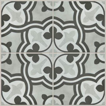 Picture of Shaw Builder - Renee Aurora Opal