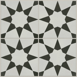 Picture of Shaw Builder - Renee Josefina Onyx