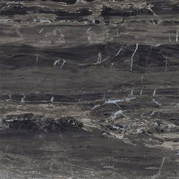 Picture of Milestone - Breccia 12 x 12 Polished Noir