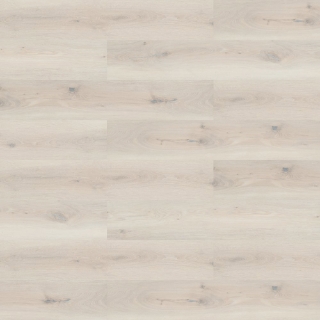 Picture of Shaw Contract - Inlet II Path