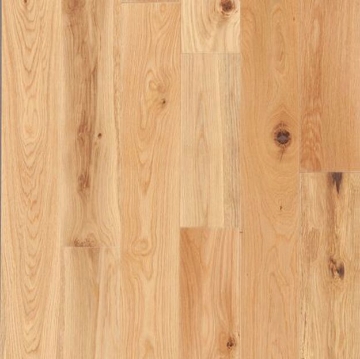 Picture of Tmbr. - Acadia Sand Beach