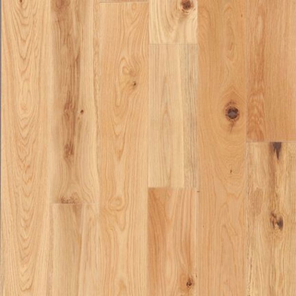 Picture of Tmbr. - Acadia Sand Beach