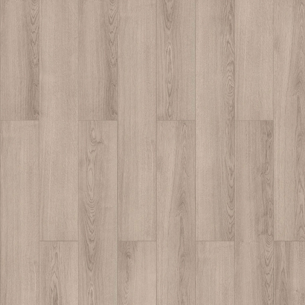 Picture of InHaus - Visions Adelaide