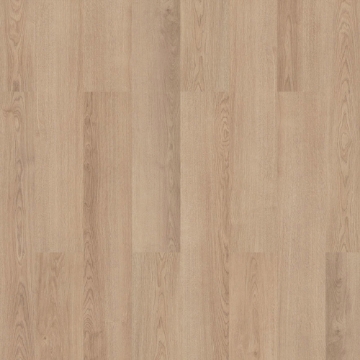 Picture of InHaus - Visions Hobart