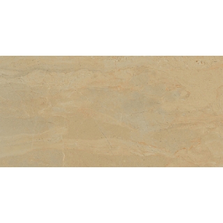 Picture of Roca - Weston 12 x 24 Brown