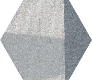Picture of Shaw Contract - Base Hexagon Tile Scale