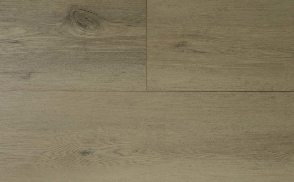 Picture of Audacity - Symphony Elton