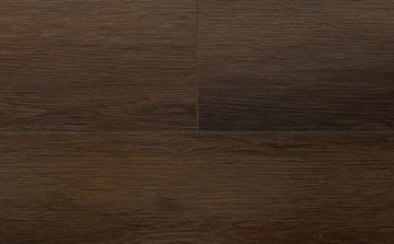 Picture of Audacity - Symphony Osbourne