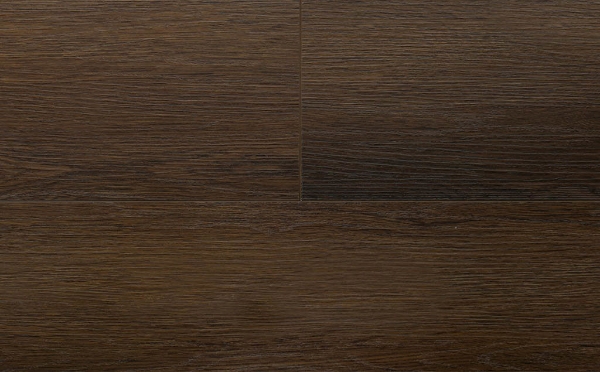 Picture of Audacity - Symphony Osbourne