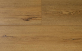 Picture of Audacity - Symphony Richards