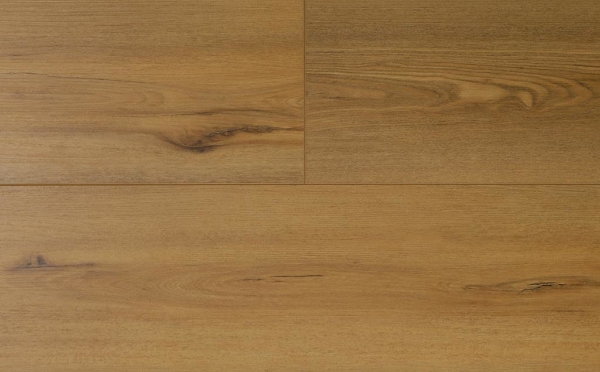 Picture of Audacity - Symphony Richards