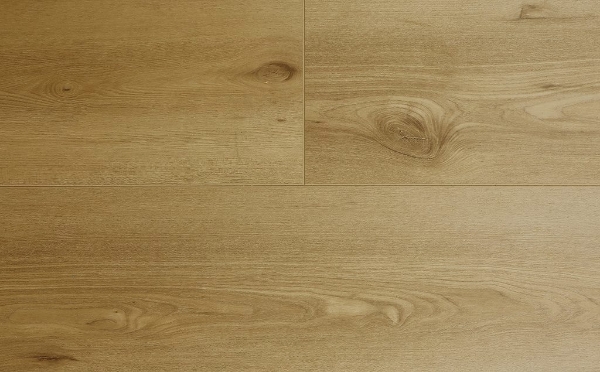 Picture of Audacity - Symphony Wonder