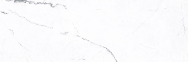Picture of Euroker - Statuario White 16 x 48 Statuario White Vecchio