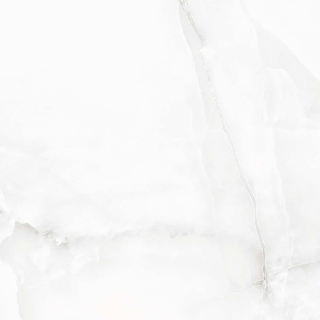 Picture of Kertiles - Taj Palace 24 x 24 Bianco