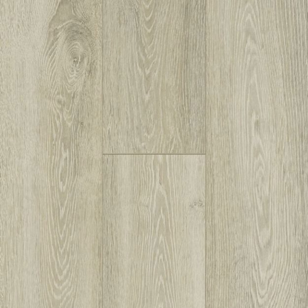 Picture of Bruce - TimberTru Nature Illustrated Arctic Escape