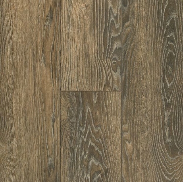 Picture of Bruce - TimberTru Nature Illustrated Backwoods