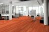 Picture of J+J Flooring - Make Your Mark 3mm Tangerine
