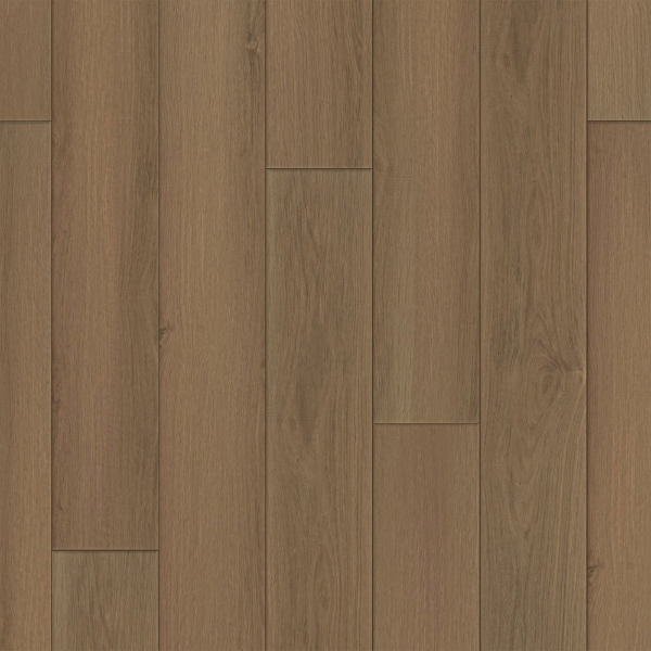 Picture of Happy Feet Intl. - Regency Oxford