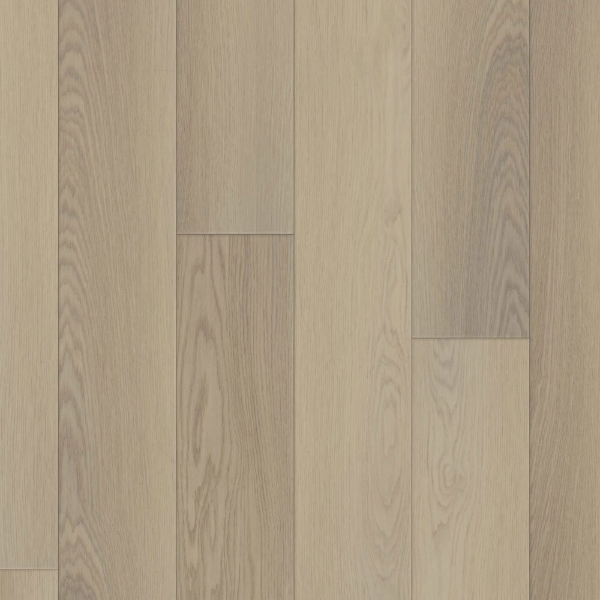 Picture of Happy Feet Intl. - Regency Knightsbridge