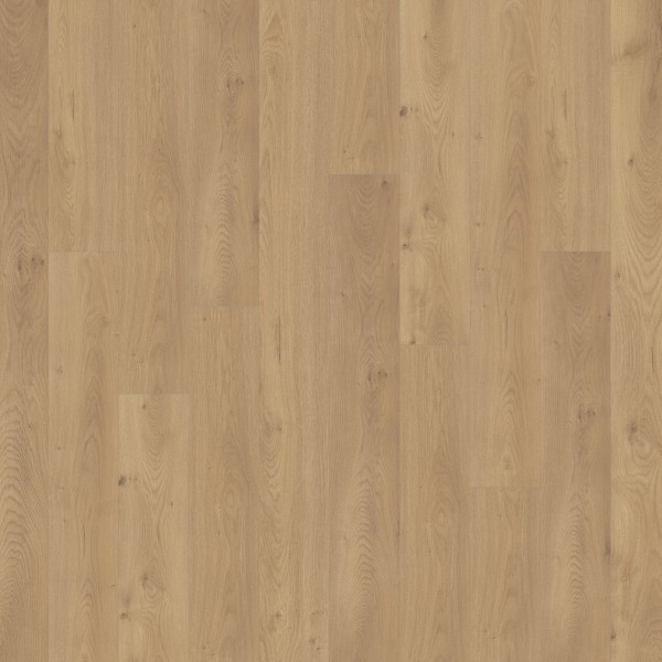Picture of Chesapeake Flooring - Freedom Grassland