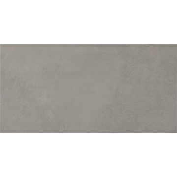 Picture of Daltile - Indoterra 12 x 24 Trail