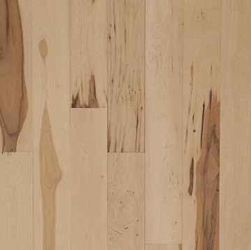 Picture of Tmbr. - Acadia Precipice Trail