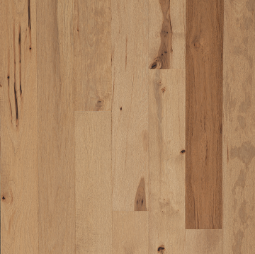 Picture of Tmbr. - Acadia Bass Harbor