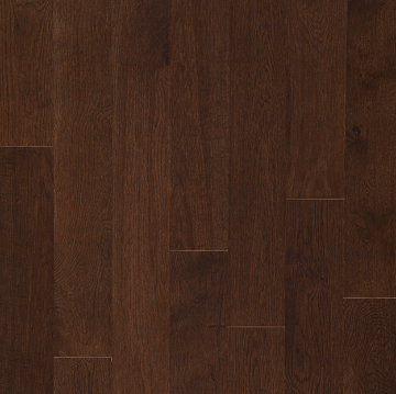 Picture of Tmbr. - Acadia Beech Cliff