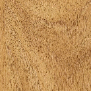 Picture of Amtico - Spacia Wood 6 x 36 American Walnut Natural