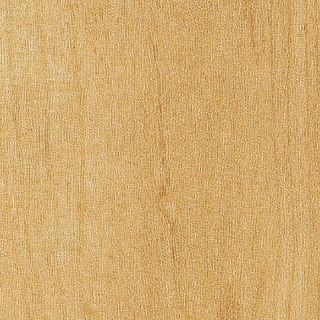 Picture of Amtico - Spacia Wood 6 x 36 Northern Maple Natural